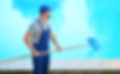 Pool Cleaner